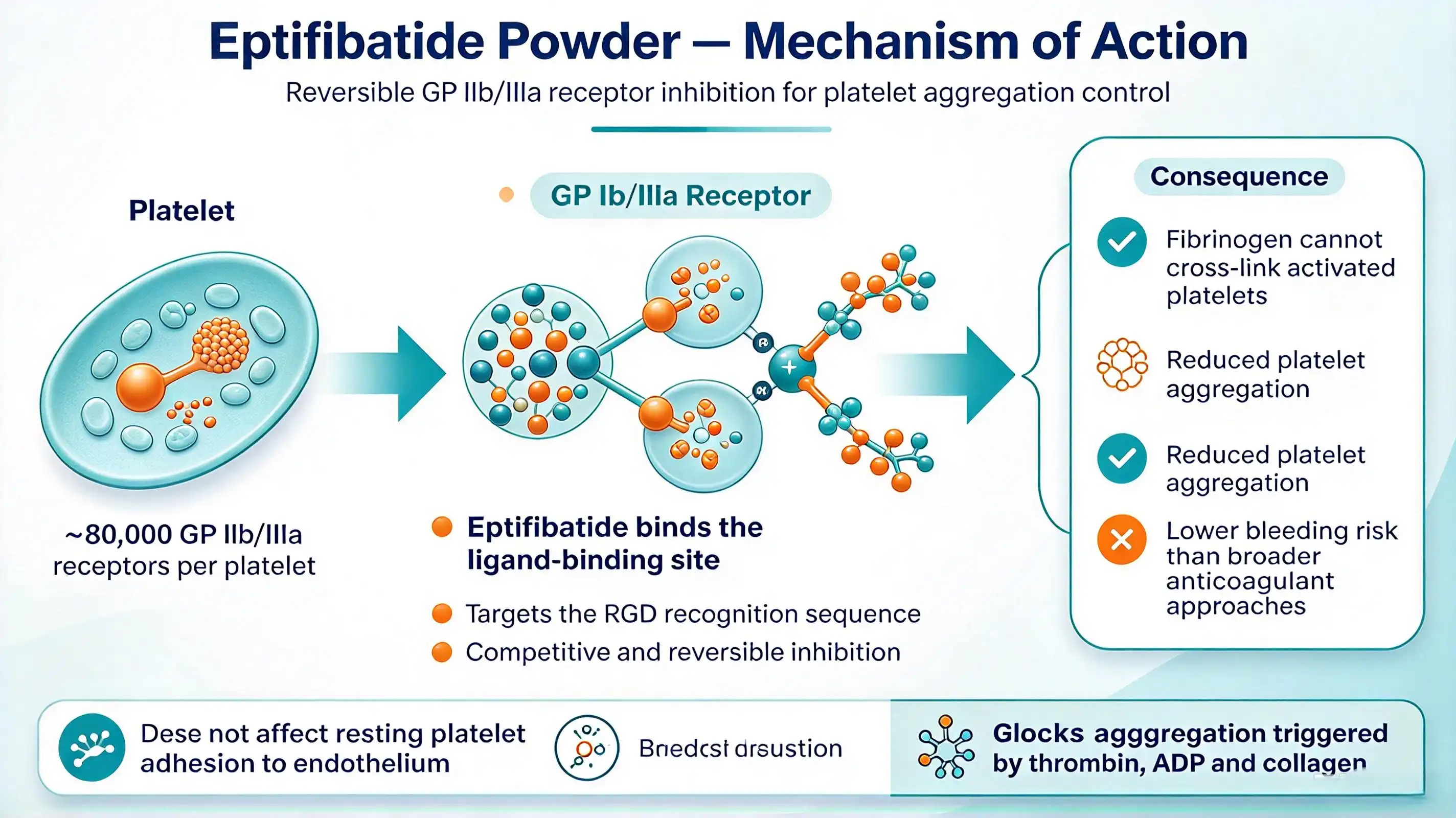 What is the mechanism of action for eptifibatide? What is the mechanism of action for eptifibatide?